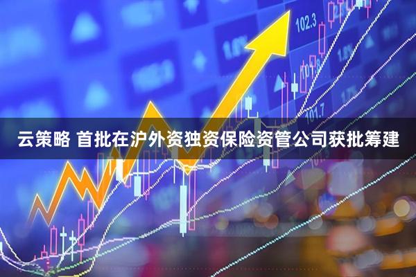云策略 首批在沪外资独资保险资管公司获批筹建