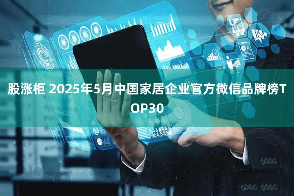股涨柜 2025年5月中国家居企业官方微信品牌榜TOP30