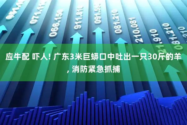 应牛配 吓人! 广东3米巨蟒口中吐出一只30斤的羊, 消防紧急抓捕
