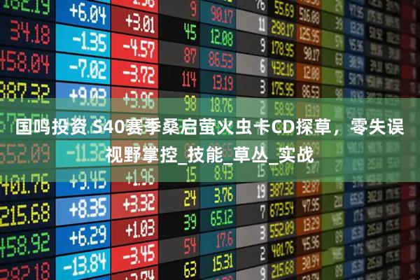 国鸣投资 S40赛季桑启萤火虫卡CD探草，零失误视野掌控_技能_草丛_实战