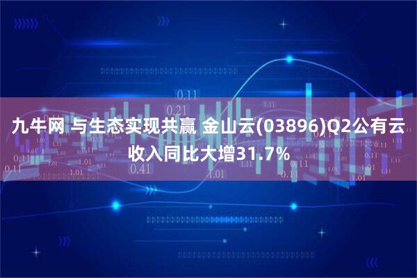 九牛网 与生态实现共赢 金山云(03896)Q2公有云收入同比大增31.7%