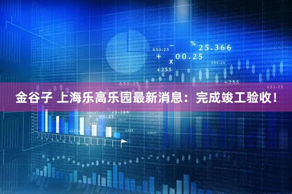金谷子 上海乐高乐园最新消息：完成竣工验收！