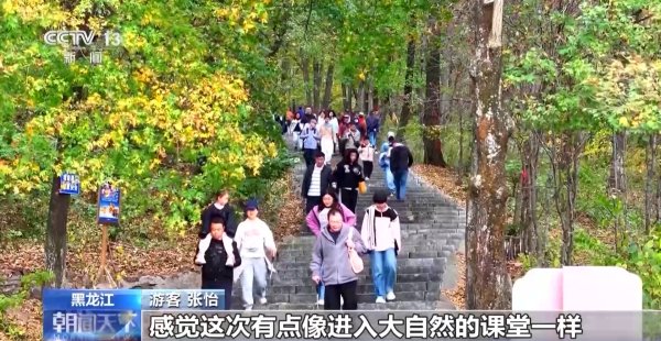 融亿操盘 树叶DIY、制作漆扇、打卡商圈……这些活动好玩又出片