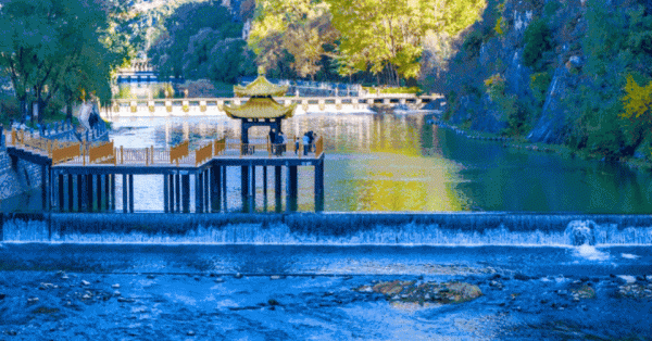 金牛所 11月4日最佳情报|济南玉水画廊秀美动人，“毛衣树”暖萌上线