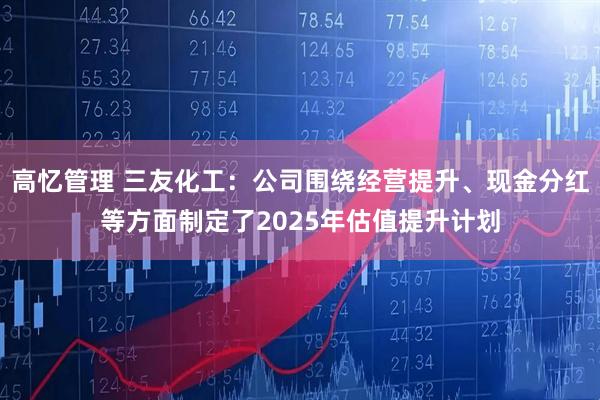 高忆管理 三友化工：公司围绕经营提升、现金分红等方面制定了2025年估值提升计划