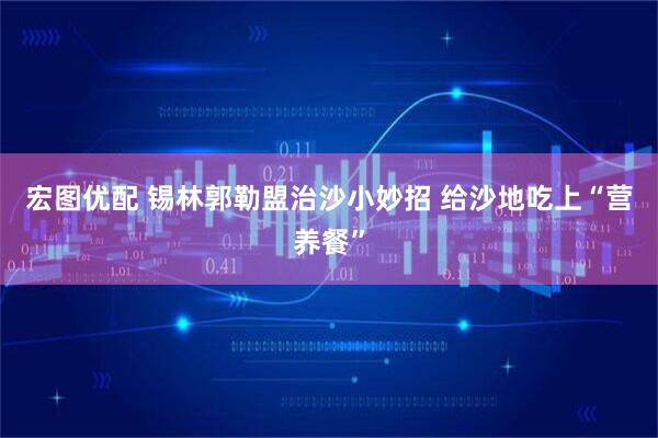 宏图优配 锡林郭勒盟治沙小妙招 给沙地吃上“营养餐”